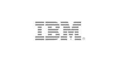 partner-ibm